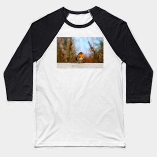 Robin Baseball T-Shirt